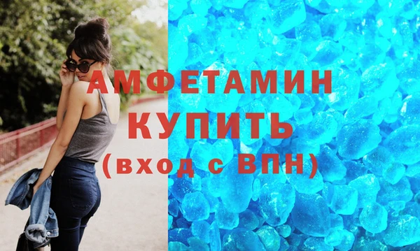 гидра Инсар