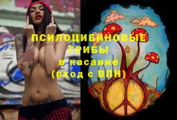 дмт Каменногорск