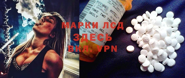 гидра Инсар
