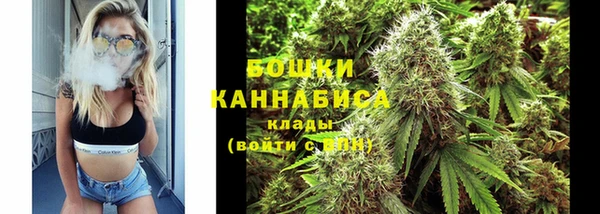 гидра Инсар