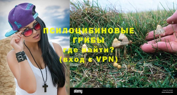 прущий лед Инта