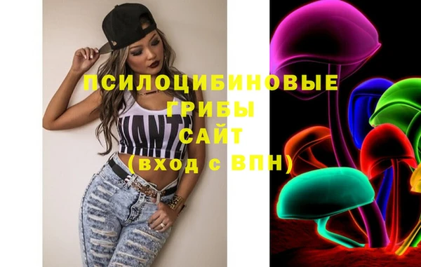 спиды Каменск-Шахтинский